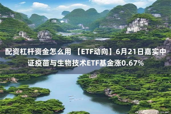 配资杠杆资金怎么用 【ETF动向】6月21日嘉实中证疫苗与生物技术ETF基金涨0.67%