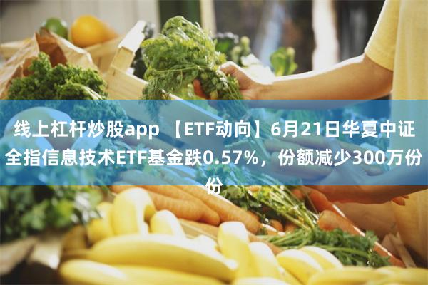 线上杠杆炒股app 【ETF动向】6月21日华夏中证全指信息技术ETF基金跌0.57%，份额减少300万份