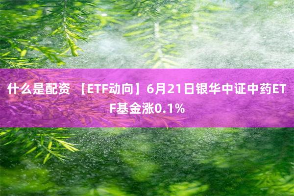 什么是配资 【ETF动向】6月21日银华中证中药ETF基金涨0.1%