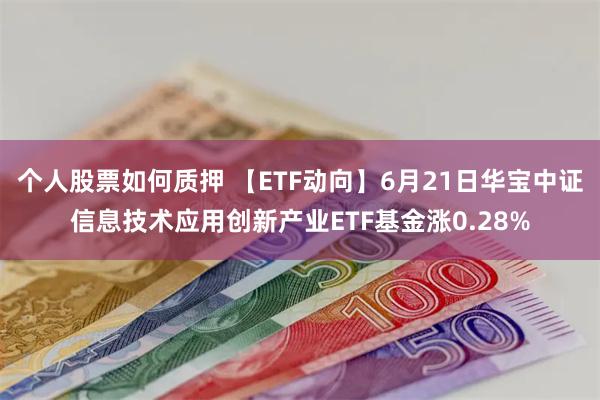 个人股票如何质押 【ETF动向】6月21日华宝中证信息技术应用创新产业ETF基金涨0.28%