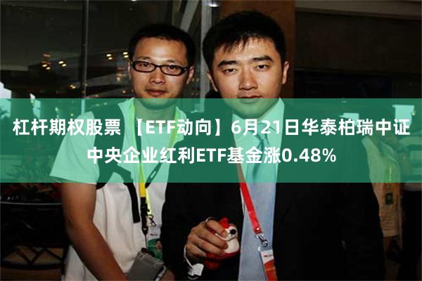 杠杆期权股票 【ETF动向】6月21日华泰柏瑞中证中央企业红利ETF基金涨0.48%