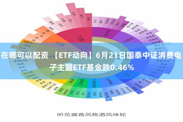 在哪可以配资 【ETF动向】6月21日国泰中证消费电子主题ETF基金跌0.46%