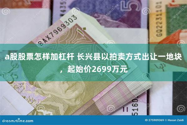 a股股票怎样加杠杆 长兴县以拍卖方式出让一地块，起始价2699万元