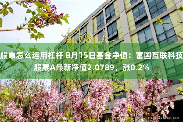 股票怎么运用杠杆 8月15日基金净值：富国互联科技股票A最新净值2.0789，涨0.2%