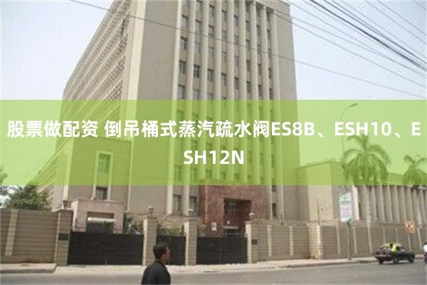 股票做配资 倒吊桶式蒸汽疏水阀ES8B、ESH10、ESH12N