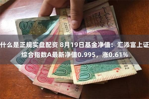 什么是正规实盘配资 8月19日基金净值：汇添富上证综合指数A最新净值0.995，涨0.61%