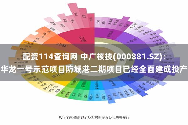 配资114查询网 中广核技(000881.SZ)：华龙一号示范项目防城港二期项目已经全面建成投产