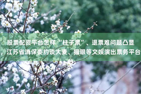 股票配资平台怎样 “柱子票”、退票难问题凸显，江苏省消保委约谈大麦、猫眼等文娱演出票务平台