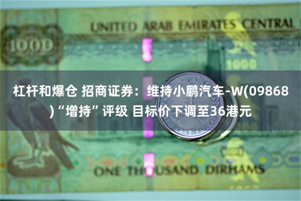 杠杆和爆仓 招商证券：维持小鹏汽车-W(09868)“增持”评级 目标价下调至36港元