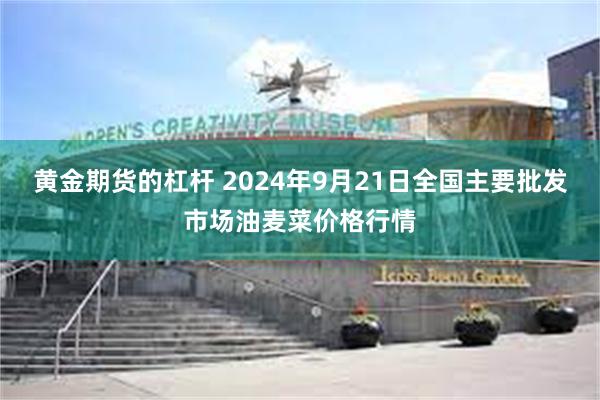 黄金期货的杠杆 2024年9月21日全国主要批发市场油麦菜价格行情