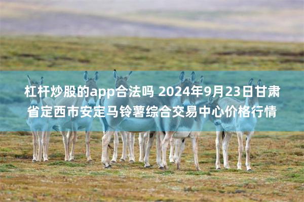 杠杆炒股的app合法吗 2024年9月23日甘肃省定西市安定马铃薯综合交易中心价格行情