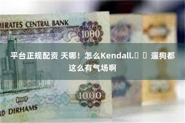 平台正规配资 天哪！怎么Kendall.​​遛狗都这么有气场啊