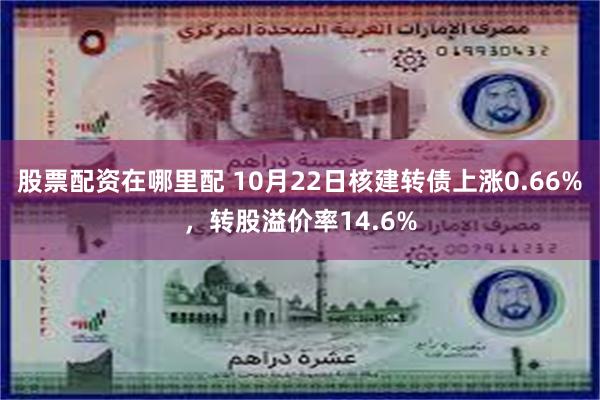 股票配资在哪里配 10月22日核建转债上涨0.66%，转股溢价率14.6%