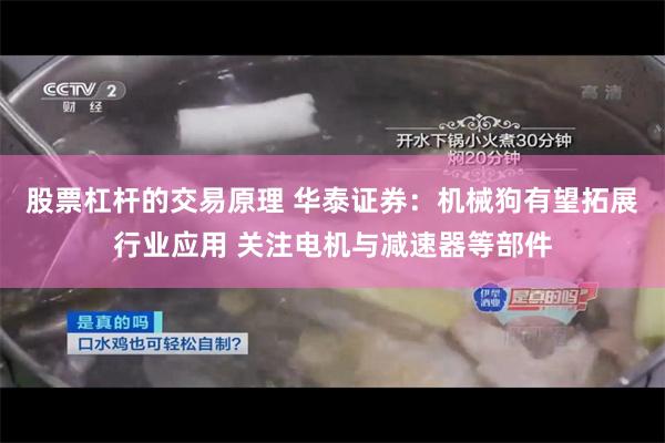 股票杠杆的交易原理 华泰证券：机械狗有望拓展行业应用 关注电机与减速器等部件