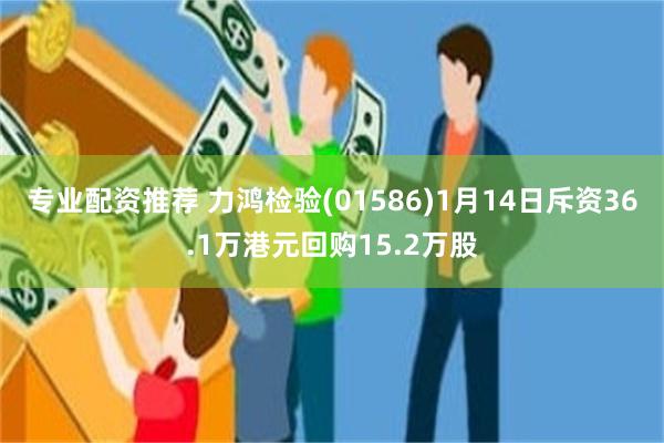 专业配资推荐 力鸿检验(01586)1月14日斥资36.1万港元回购15.2万股