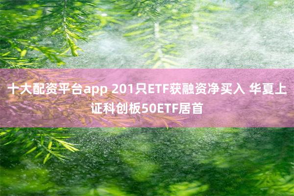 十大配资平台app 201只ETF获融资净买入 华夏上证科创板50ETF居首